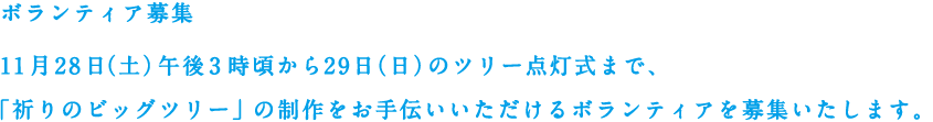 ボランティア募集11月28日（土）午後3時頃から29日（日）のツリー点灯式まで、「祈りのビッグツリー」の制作をお手伝いいただけるボランティアを募集いたします。